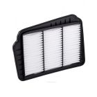 Ryco Air Filter