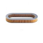 Ryco Air Filter