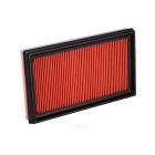 Ryco Air Filter