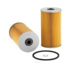 Ryco Fuel Filter