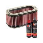 K&N Air Filter E-2890 + Recharge Kit