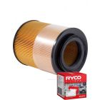 Ryco Air Filter A1387 + Service Stickers