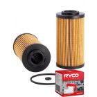 Ryco Oil Filter R2655P + Service Stickers