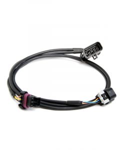 Holley Wiring Harness, Ignition
