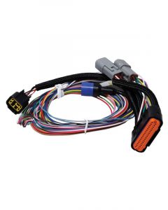 MSD Power Grid Replacement Wiring Harness (MSD-7780)