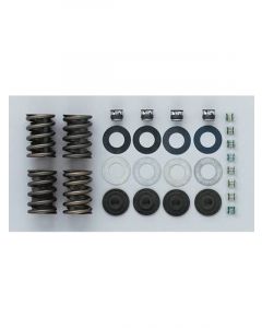 Trick Flow Valve Spring Beehive Conversion Kit Springs / Retainer