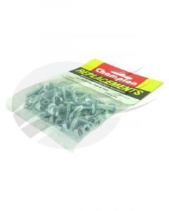 Champion 3/4X3/16 Roofing Bolt/Nut
