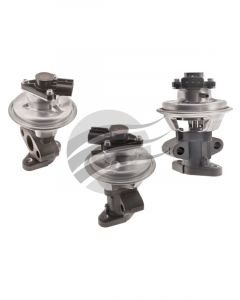 AFI EGR Valve
