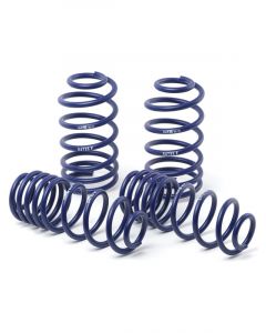 H&R 96-99 For BMW M3 3.2L E36 Race Spring Non Cabrio