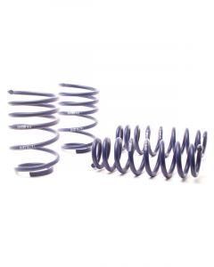 H&R 07-11 For BMW 328i Sedan/335i Sedan E90 Race Spring