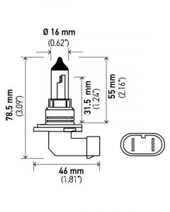 Hella 12V 55W Halogen Bulb