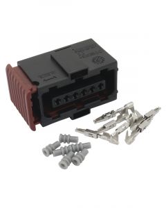 Aeroflow Accelerator Pedal Plug and Pins For Commodore VE Nissan R3