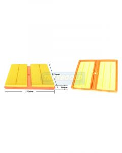 Transgold Air Filter