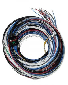 Fueltech Engine Control Harness A-Harness 20 ft FT450 / FT550 ECU