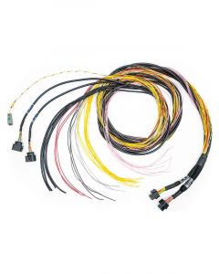 Fueltech Engine Control Harness C / D-Harness 10 ft FT700 ECU