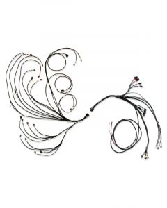 Fueltech Engine Control Harness Harnessft600 ECU to Ford V8