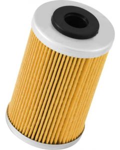 K&N Oil Filter
