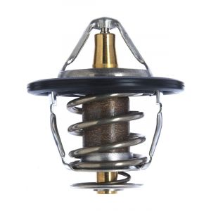 Gates Thermostat + Gaskets & Seals