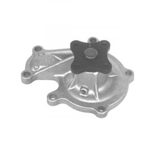 Protex Water Pump