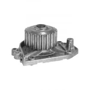 Protex Water Pump