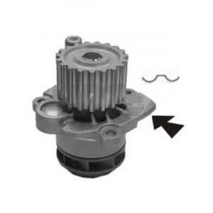 Protex Water Pump