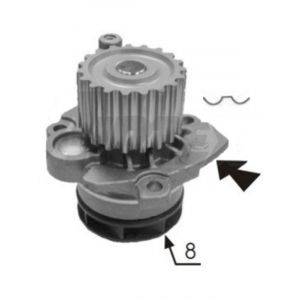 Protex Water Pump
