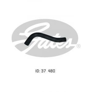 Gates Radiator Hose