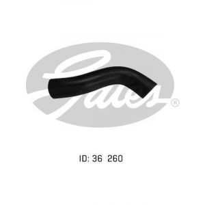 Gates Radiator Hose