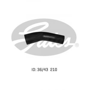 Gates Radiator Hose