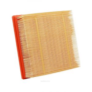 Ryco Air Filter