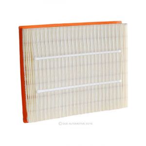 Ryco Air Filter