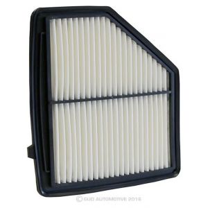 Ryco Air Filter