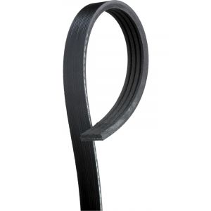 Gates Micro-V Ribbed Belt