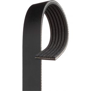 Gates Micro-V Ribbed Belt