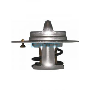 Dayco Thermostat