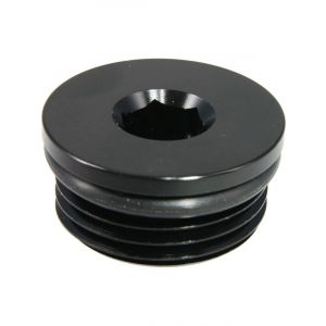 Raceworks An In Hex O-Ring Plug An-10