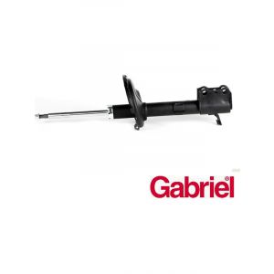 Gabriel Strut Rear RH Side