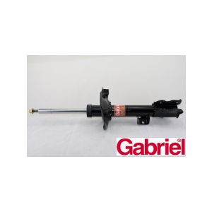 Gabriel Strut Rear RH Side