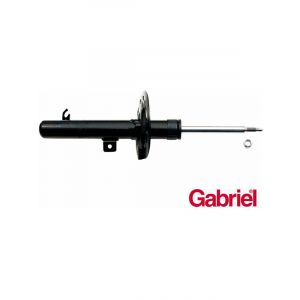 Gabriel Strut Front