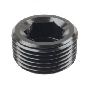 Raceworks Npt Socket Plug 3/4''