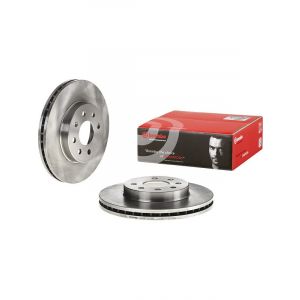 Brembo Disc Brake Rotor (Single) 256mm