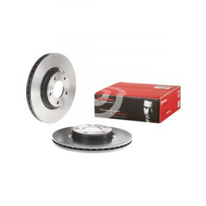 Brembo Disc Brake Rotor (Single) 300mm