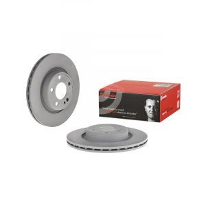 Brembo Disc Brake Rotor (Single) 300mm