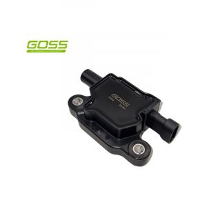 Goss Ignition Coil