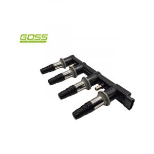 Goss Ignition Coil