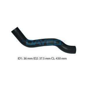 Dayco Moulded Radiator Hose