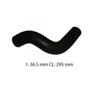 Dayco Moulded Radiator Hose