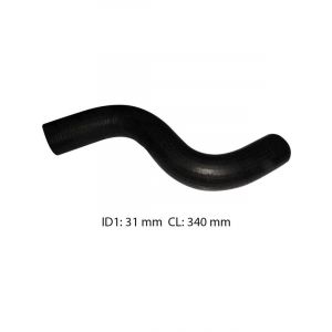 Dayco Moulded Radiator Hose