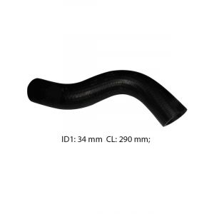 Dayco Moulded Radiator Hose