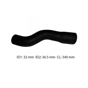 Dayco Moulded Radiator Hose